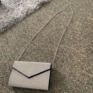 Silver purse